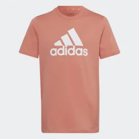 Adidas Essentials Big Logo Kids T-Shirt