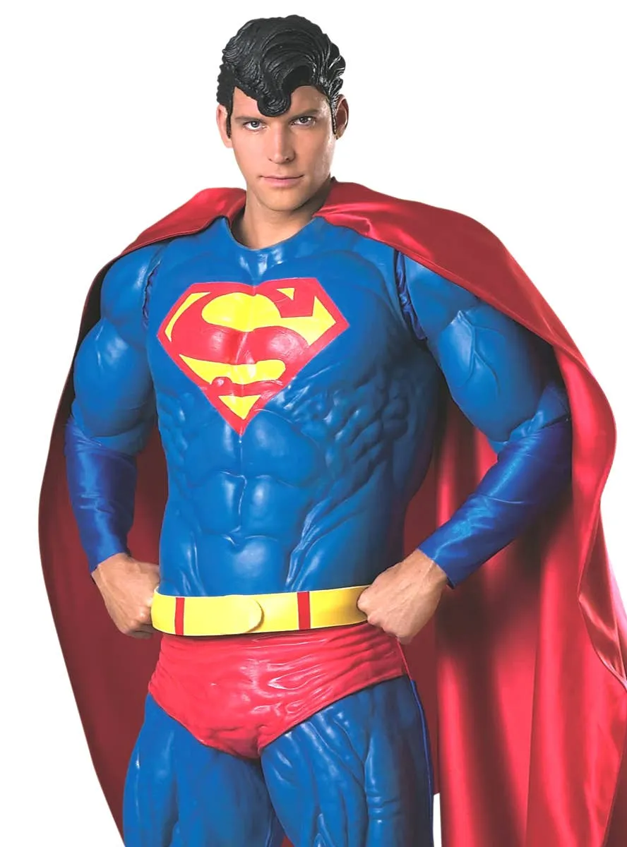 DC Superman Premium Collector's Edition Mens Costume