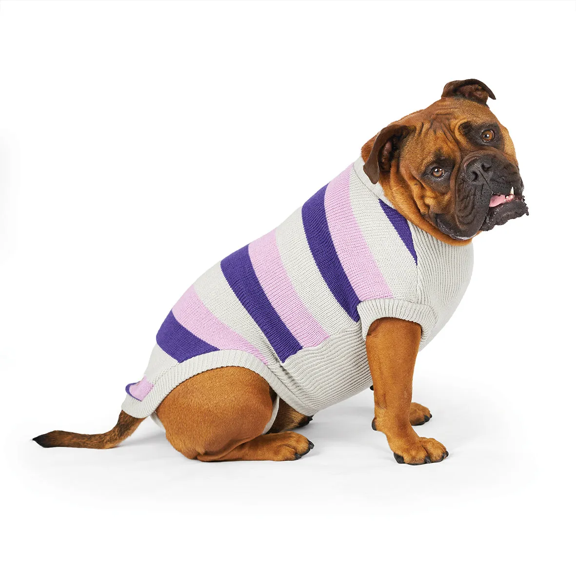 Kazoo Apparel Bumble Dog Jumper Lavender Intermediate Medium***