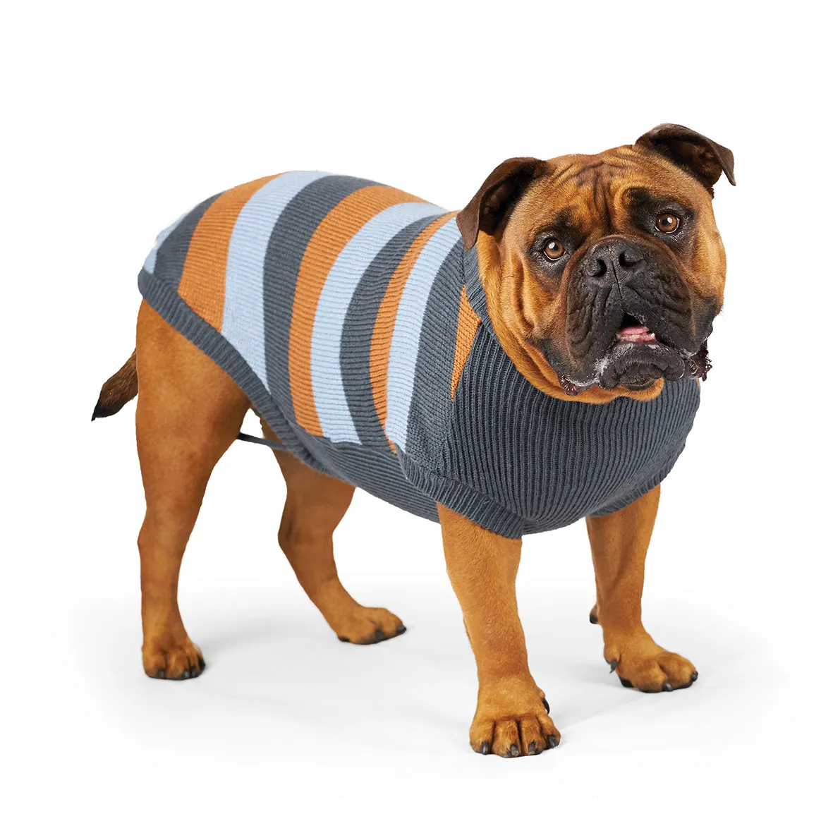 Kazoo Apparel Bumble Dog Jumper Seagrass Extra Extra Small ***