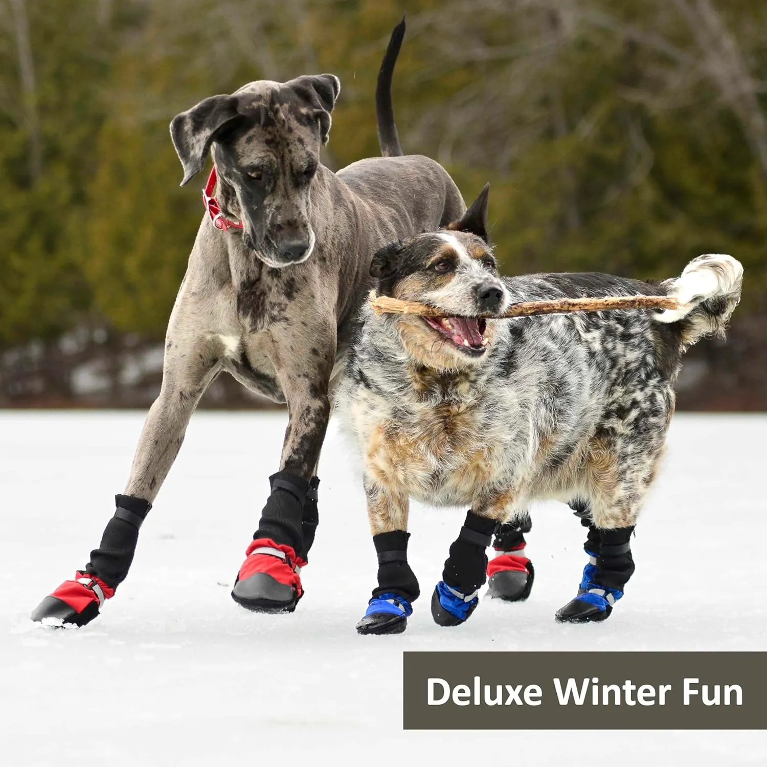 Muttluks: Deluxe Fleece Lined Boots for Dogs (4 Pack)