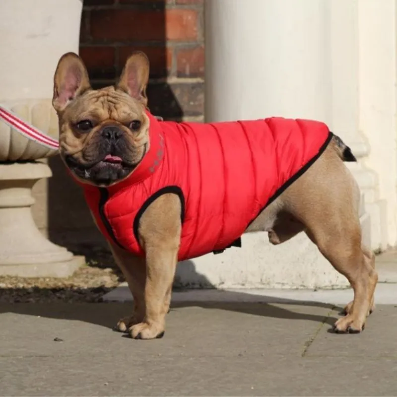 Red and Navy Dog Puffer Jacket