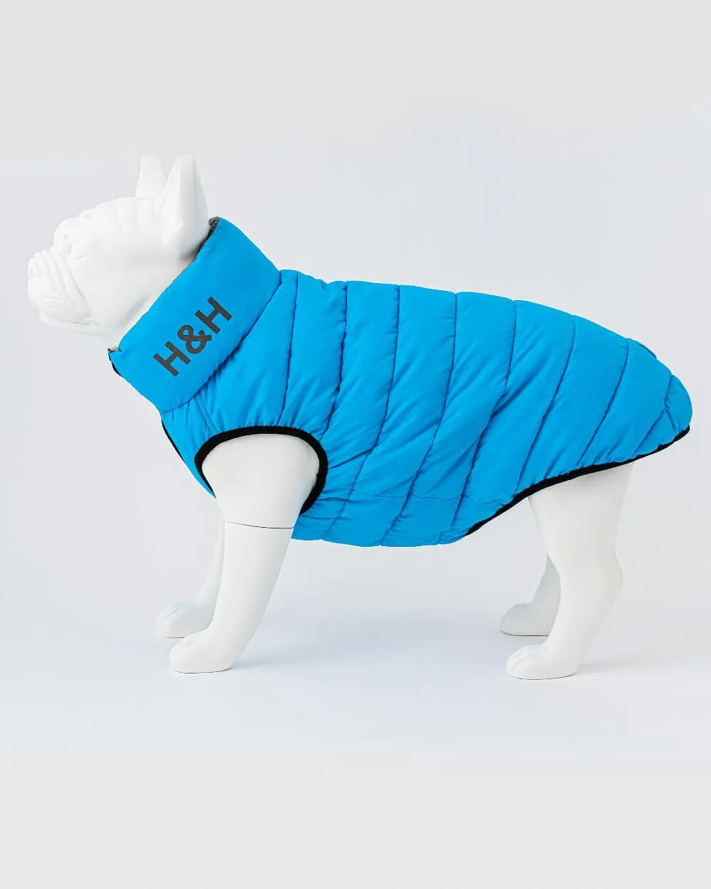 Reversible Dog Puffer Jacket - Light Blue and Grey